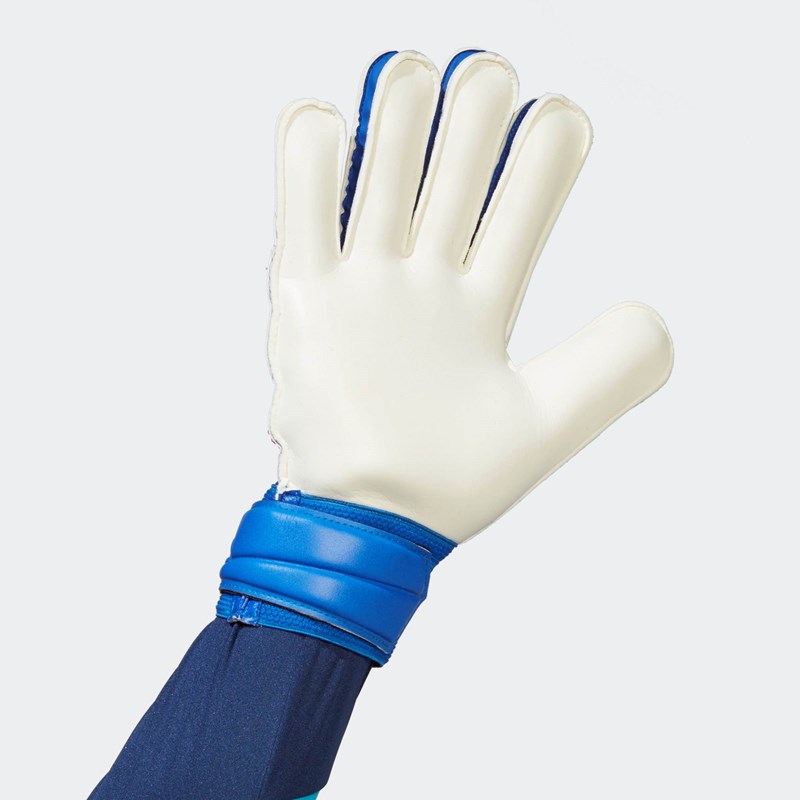 Мъжки вратарски ръкавици за тренировка Predator
