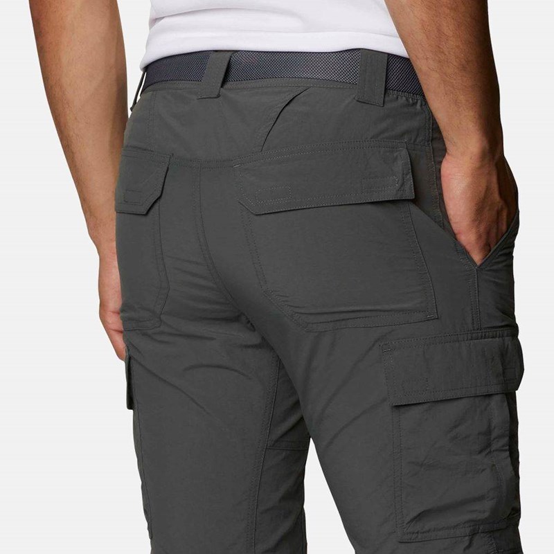Мъжки панталон за планински преходи Silver Ridge™ II Convertible 