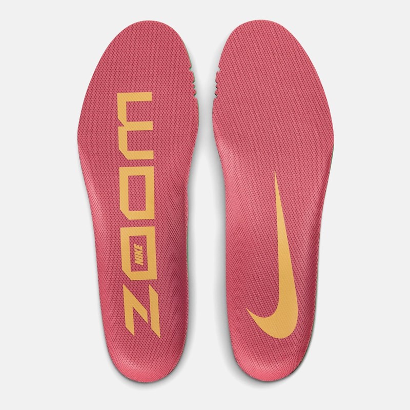 Дамски обувки за бягане Air Zoom Vomero 16