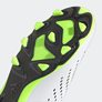 Мъжки обувки за футбол Predator Accuracy.4 S FxG